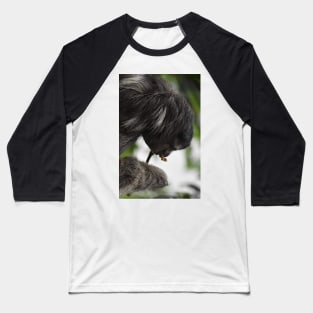 Three-toed  Sloth Baseball T-Shirt